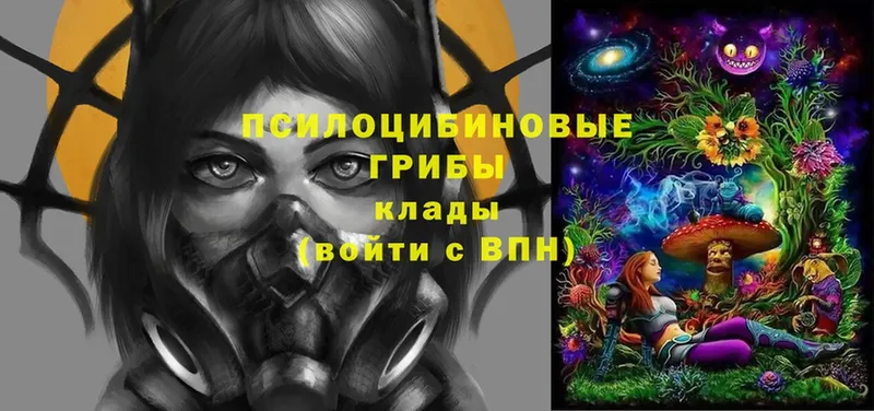 Псилоцибиновые грибы Psilocybine cubensis  Дмитровск 